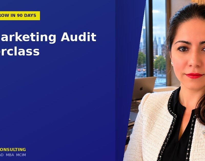 The Marketing Audit Masterclass